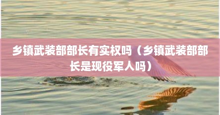 乡镇武装部部长有实权吗（乡镇武装部部长是现役军人吗）