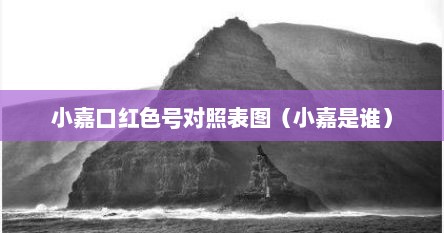 小嘉口红色号对照表图（小嘉是谁）