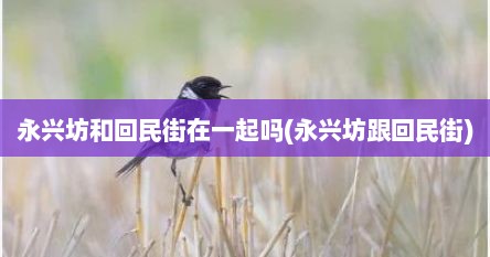 永兴坊和回民街在一起吗(永兴坊跟回民街)