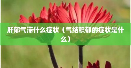 肝郁气滞什么症状（气结积郁的症状是什么）