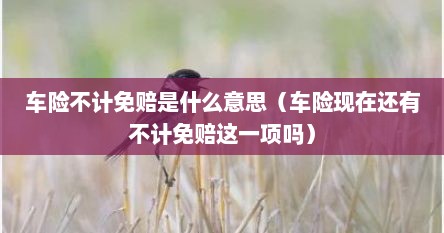 车险不计免赔是什么意思（车险现在还有不计免赔这一项吗）