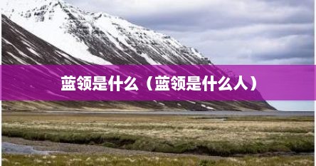 蓝领是什么（蓝领是什么人）