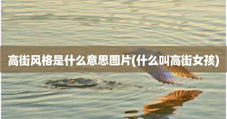 高街风格是什么意思图片(什么叫高街女孩)