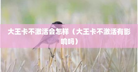 大王卡不激活会怎样（大王卡不激活有影响吗）