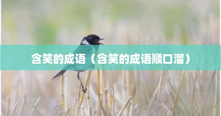 含笑的成语（含笑的成语顺口溜）