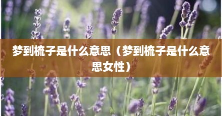 梦到梳子是什么意思（梦到梳子是什么意思女性）
