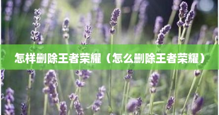 怎样删除王者荣耀（怎么删除王者荣耀）
