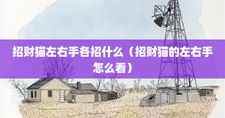 招财猫左右手各招什么（招财猫的左右手怎么看）