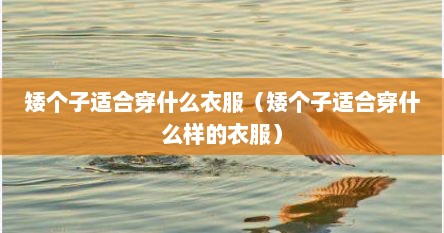 矮个子适合穿什么衣服（矮个子适合穿什么样的衣服）