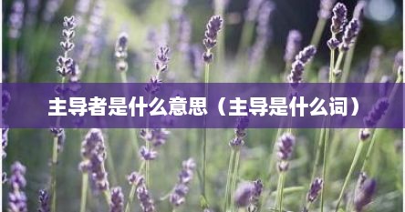 主导者是什么意思（主导是什么词）