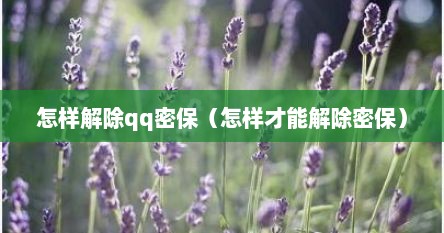 怎样解除qq密保（怎样才能解除密保）
