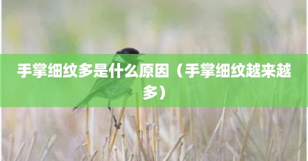 手掌细纹多是什么原因(手掌细纹越来越多)