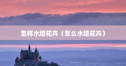 怎样水培花卉（怎么水培花卉）