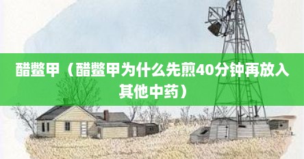 醋鳖甲（醋鳖甲为什么先煎40分钟再放入其他中药）