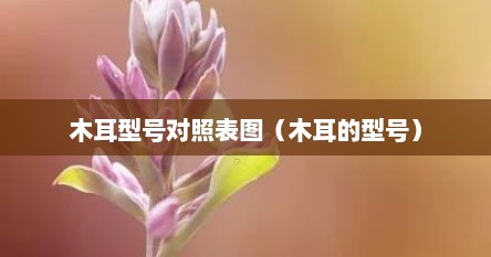 木耳型号对照表图（木耳的型号）