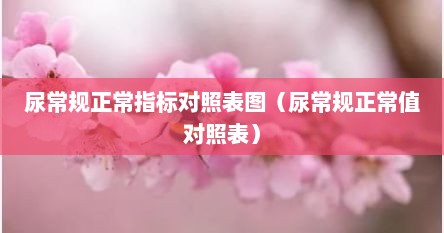 尿常规正常指标对照表图（尿常规正常值对照表）