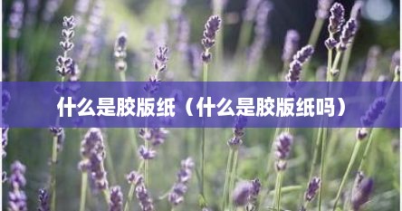 什么是胶版纸（什么是胶版纸吗）