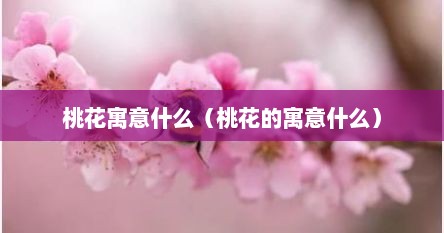 桃花寓意什么（桃花的寓意什么）