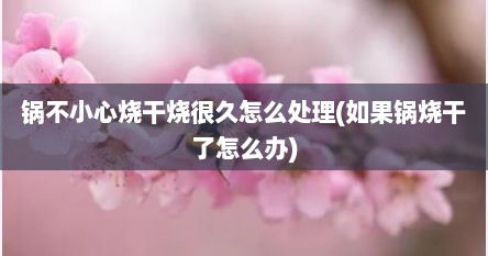 锅不小心烧干烧很久怎么处理(如果锅烧干了怎么办)