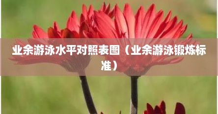 业余游泳水平对照表图（业余游泳锻炼标准）