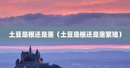 土豆是根还是茎（土豆是根还是茎繁殖）