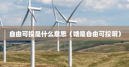 自由可投是什么意思（啥是自由可投啊）
