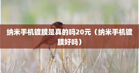 纳米手机镀膜是真的吗20元(纳米手机镀膜好吗)
