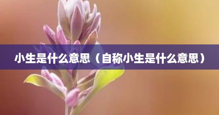 小生是指什么（小生是自称还是他称）