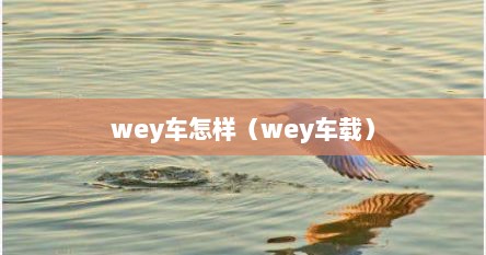 wey车怎样（wey车载）