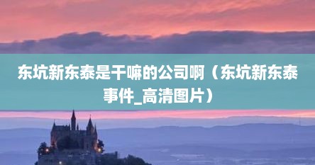 东坑新东泰是干嘛的公司啊（东坑新东泰事件_高清图片）