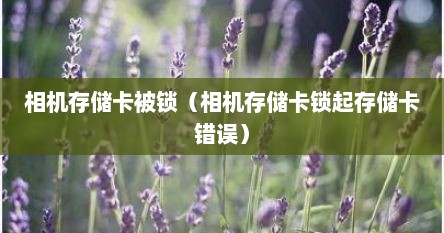 相机存储卡被锁（相机存储卡锁起存储卡错误）