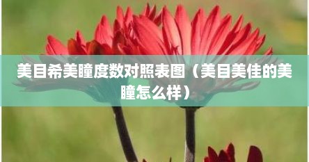 美目希美瞳度数对照表图（美目美佳的美瞳怎么样）