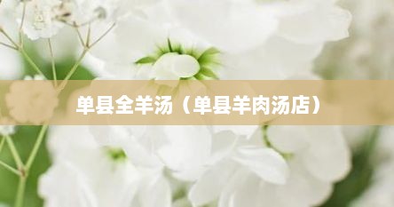 单县全羊汤（单县羊肉汤店）