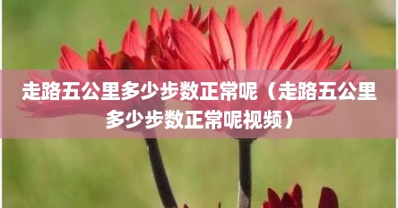 走路五公里多少步数正常呢（走路五公里多少步数正常呢视频）