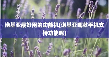 诺基亚最好用的功能机(诺基亚哪款手机支持功能呢)