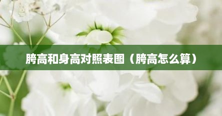 胯高和身高对照表图（胯高怎么算）