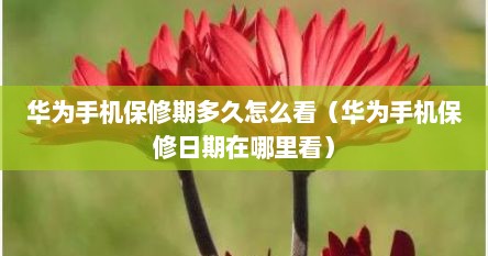 华为手机保修期多久怎么看（华为手机保修日期在哪里看）