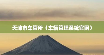 天津市车管所（车辆管理系统官网）