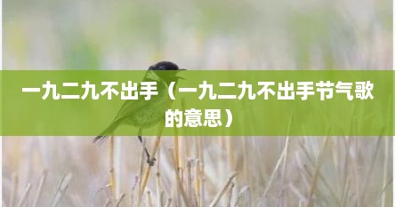 一九二九不出手（一九二九不出手节气歌的意思）