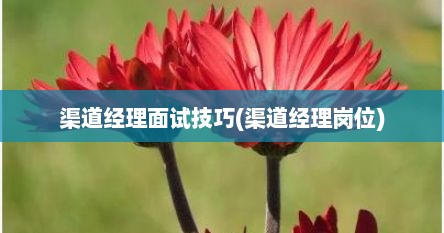 渠道经理面试技巧(渠道经理岗位)