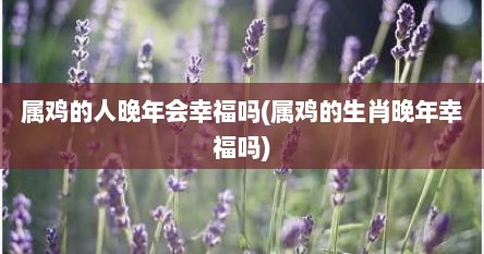 属鸡的人晚年会幸福吗(属鸡的生肖晚年幸福吗)