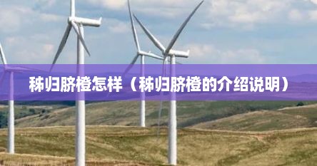 秭归脐橙怎样（秭归脐橙的介绍说明）