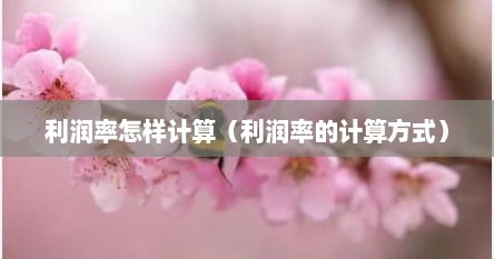 利润率怎样计算（利润率的计算方式）