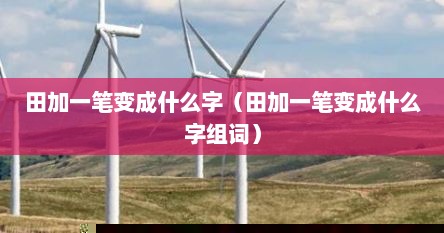 田加一笔变成什么字（田加一笔变成什么字组词）