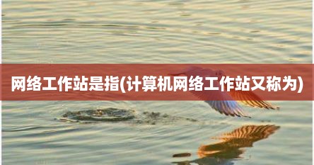 网络工作站是指(计算机网络工作站又称为)