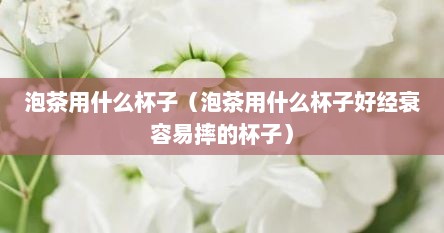 泡茶用什么杯子（泡茶用什么杯子好经衰容易摔的杯子）