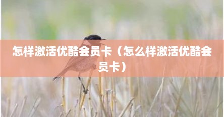 怎样激活优酷会员卡（怎么样激活优酷会员卡）