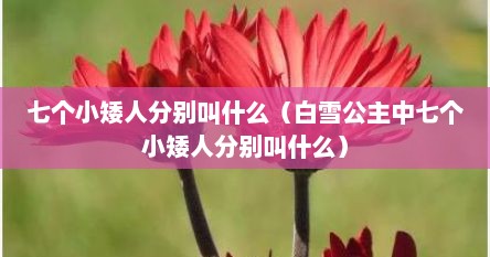 七个小矮人分别叫什么（白雪公主中七个小矮人分别叫什么）