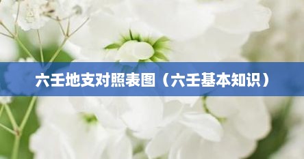 六壬地支对照表图（六壬基本知识）