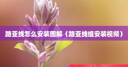 路亚线怎么安装图解（路亚线组安装视频）